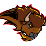 bisons